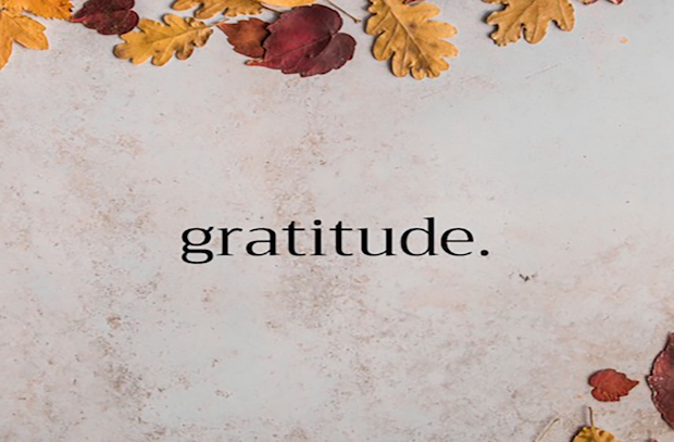 Gratitude written on a fall background