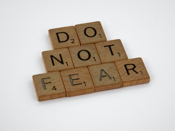 Directors Weekly Read Fear and Odor
